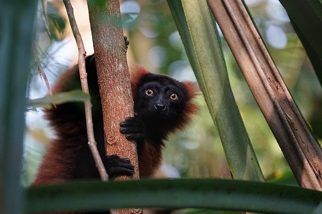 Lire la suite à propos de l’article Pourquoi investir à Madagascar ?