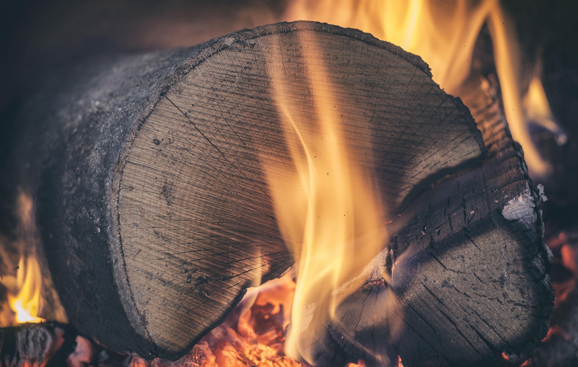 Lire la suite à propos de l’article Poêle à bois grandes bûches : pourquoi la longueur des bûches change tout