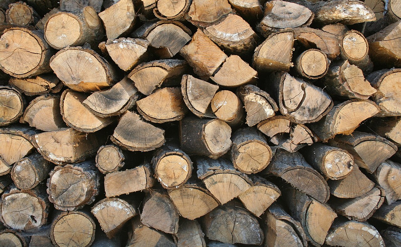 Bûches de bois de chauffage empilées et séchées